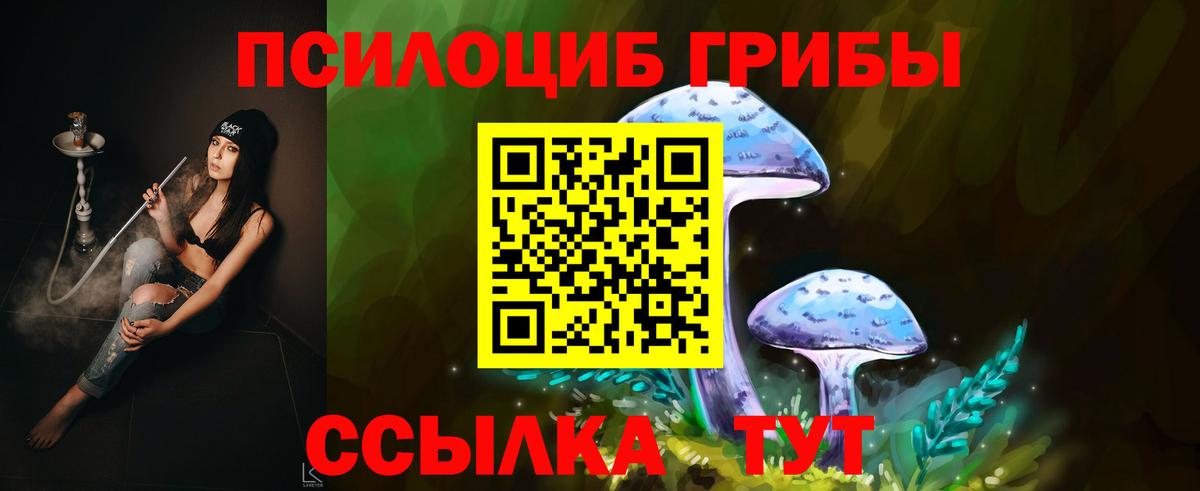 Галлюциногенные грибы ЛСД  Вход с VPN  Рубцовск  Галлюциногенные грибы MAGIC MUSHROOMS 